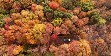 大自然的 調(diào)色盤(pán)