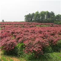 大冶市養殖相關地區